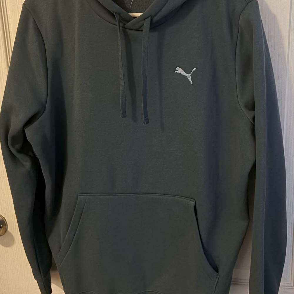 Puma Men's Dark Teal Hoodie